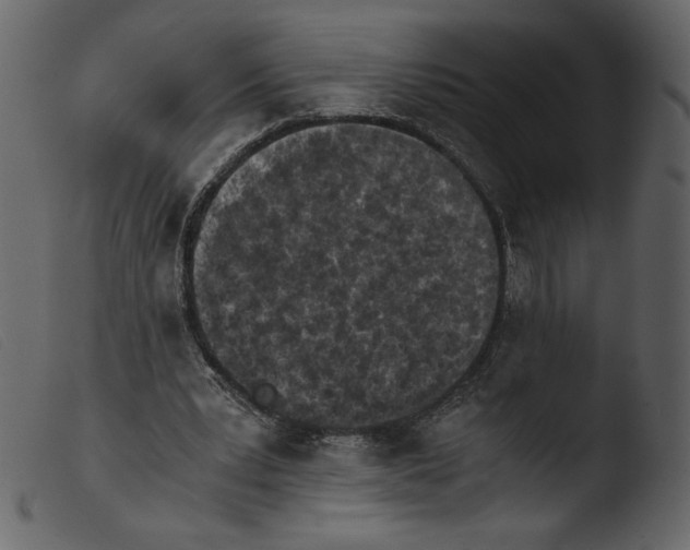 X0000103960391200810101249