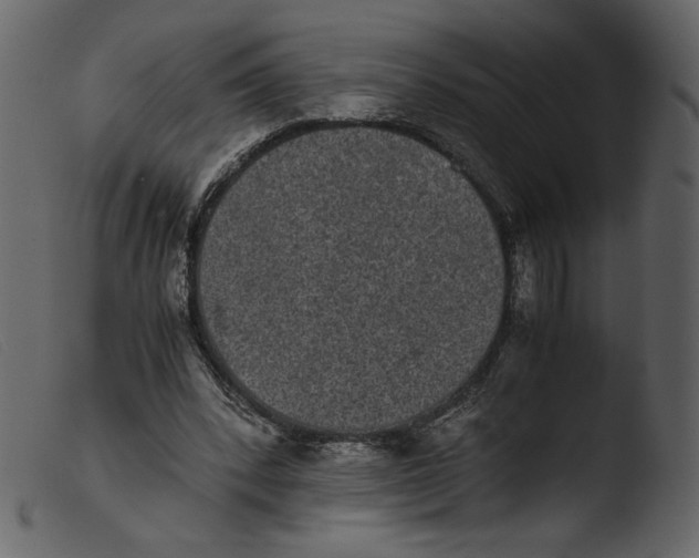 X0000103960392200810101249