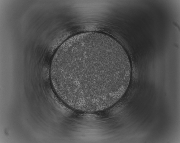 X0000103960393200810101249