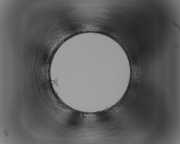 X0000103960395200810101249