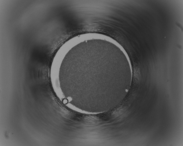 X0000103960397200810101249