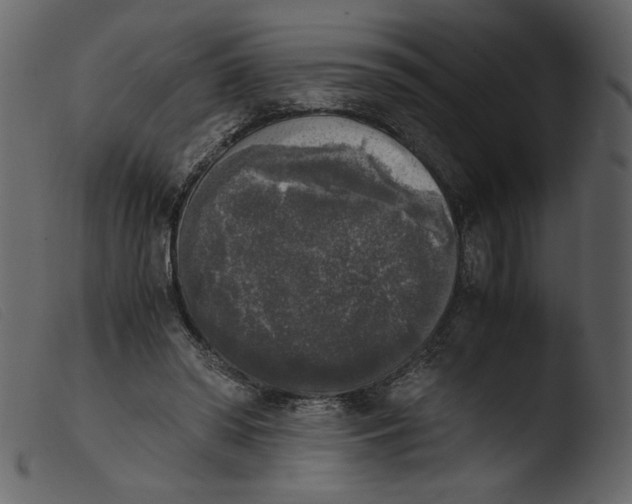 X0000103960398200810101249