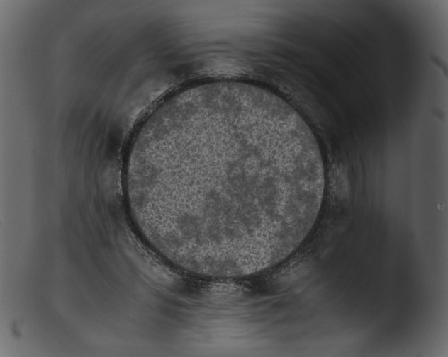 X0000103960399200810101249