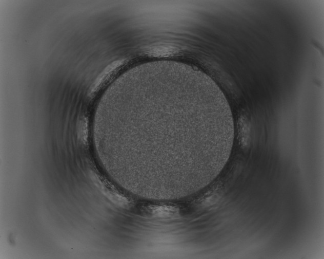 X0000103960400200810101249