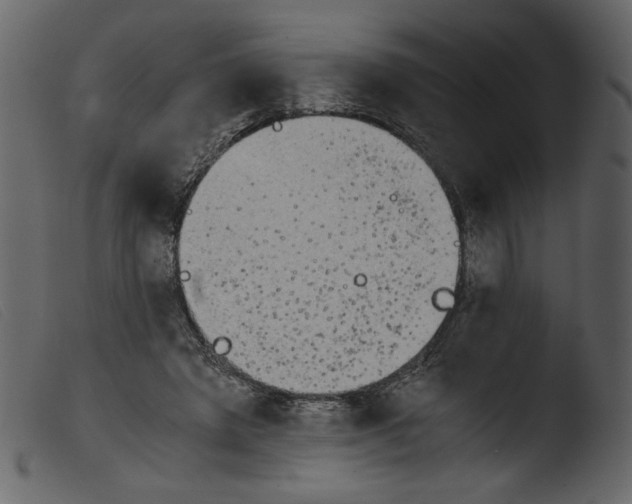 X0000103960401200810101249