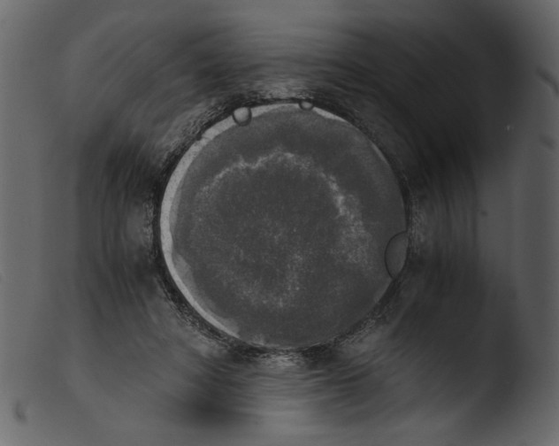 X0000103960402200810101249