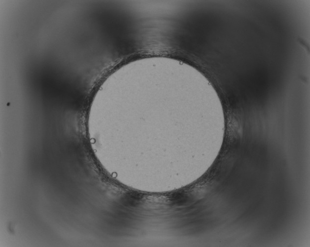 X0000103960403200810101249