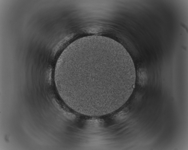 X0000103960404200810101249