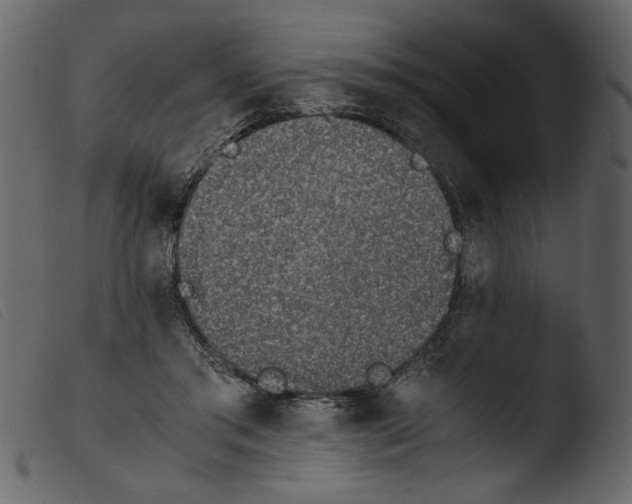 X0000103960405200810101249