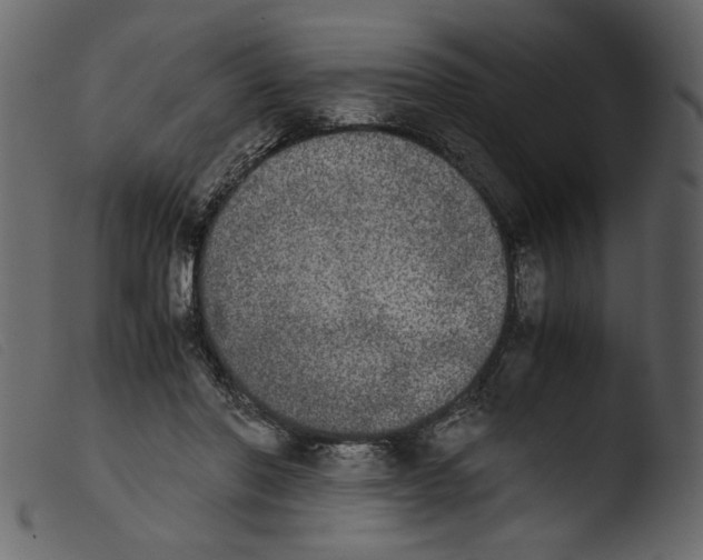 X0000103960406200810101249