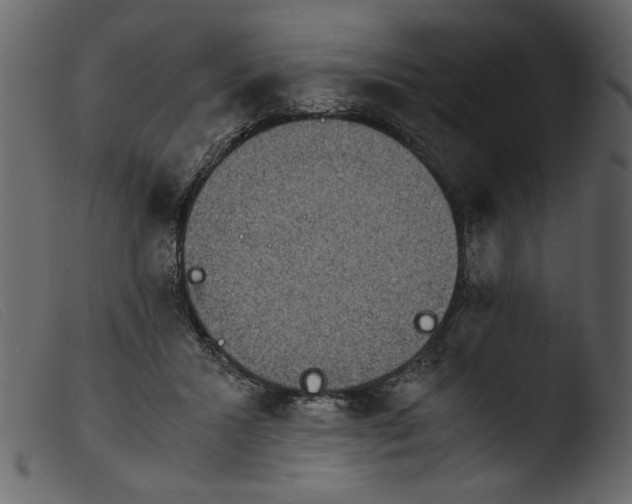 X0000103960407200810101249