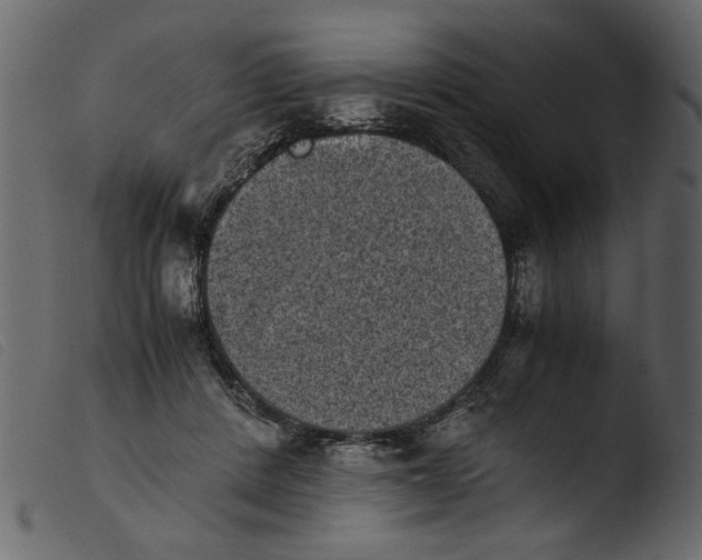 X0000103960408200810101249