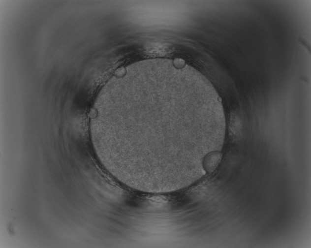 X0000103960409200810101249