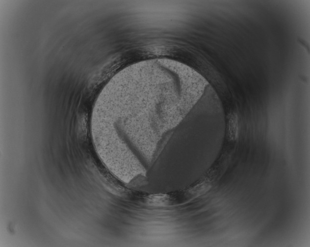 X0000103960410200810101249