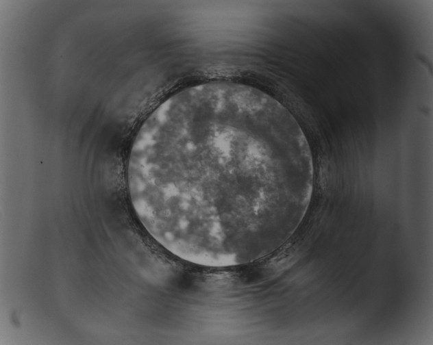 X0000103960411200810101249