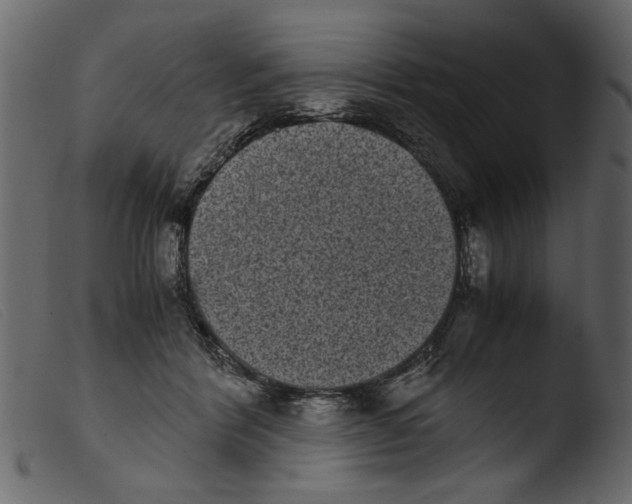 X0000103960412200810101249