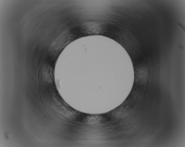 X0000103960414200810101249