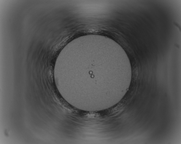 X0000103960415200810101249