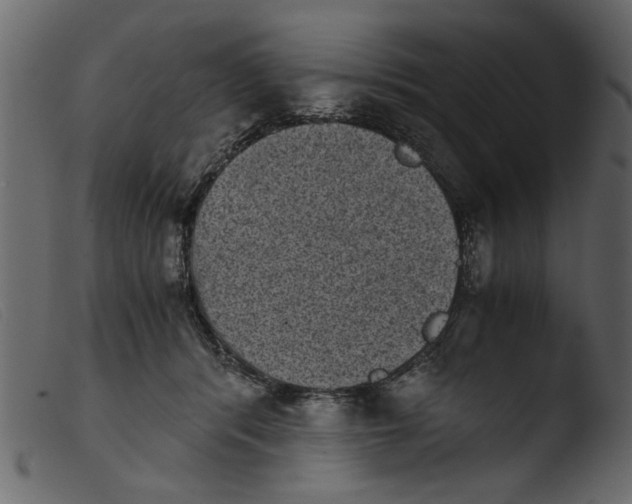 X0000103960416200810101249