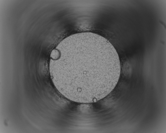 X0000103960418200810101249