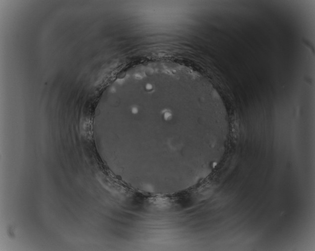 X0000103960419200810101249