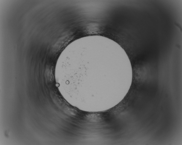 X0000103960422200810101248