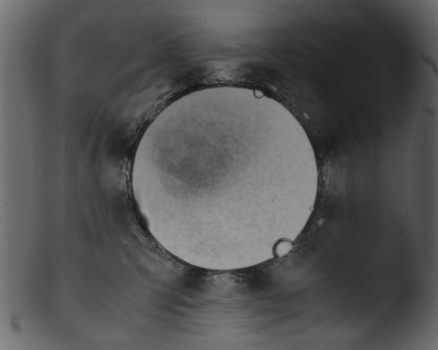 X0000103960423200810101248