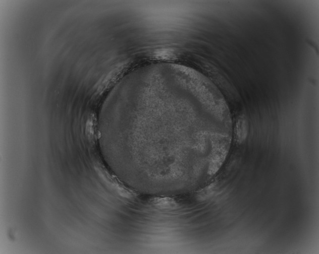 X0000103960424200810101248