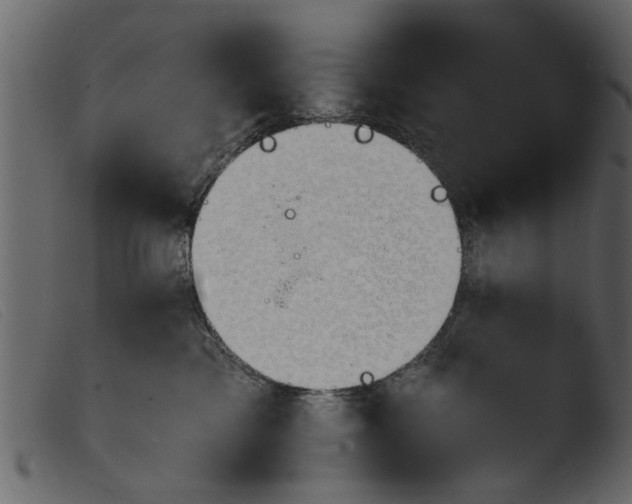 X0000103960425200810101248