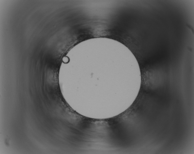 X0000103960426200810101248