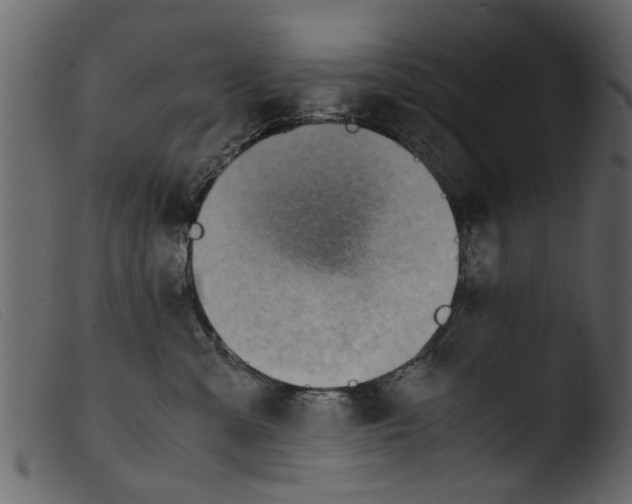 X0000103960427200810101248