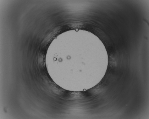 X0000103960428200810101248