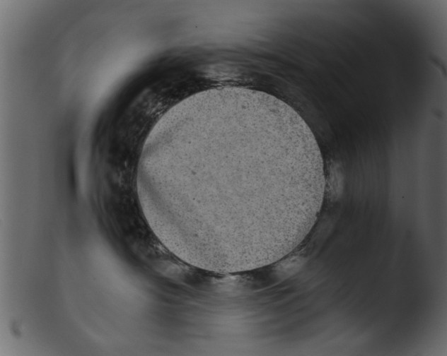 X0000103960430200810101248