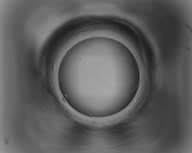 X0000103960431200810101248