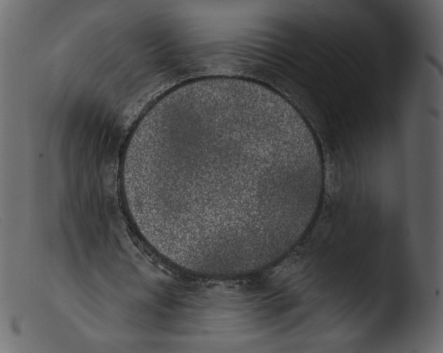 X0000103960434200810101248