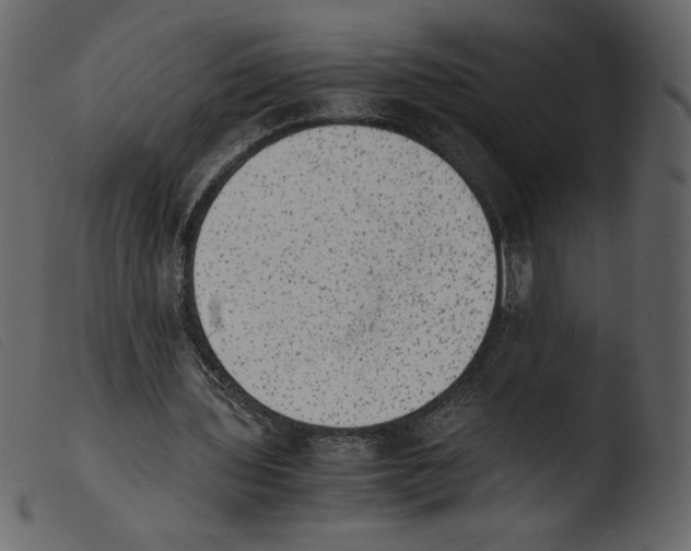 X0000103960435200810101248