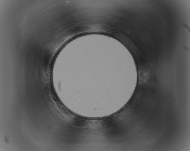 X0000103960436200810101248