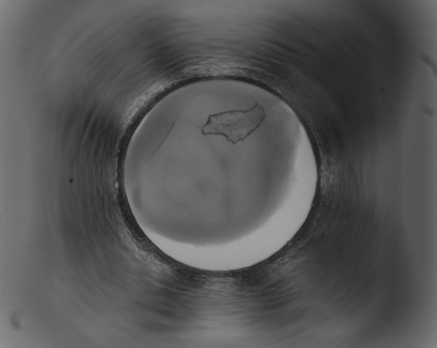 X0000103960438200810101248