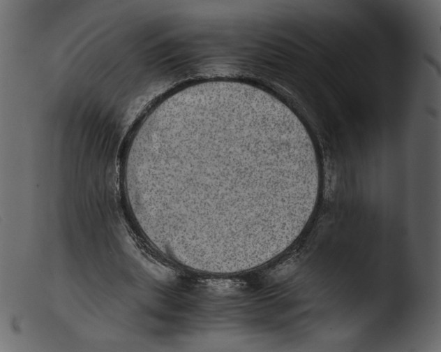 X0000103960439200810101248