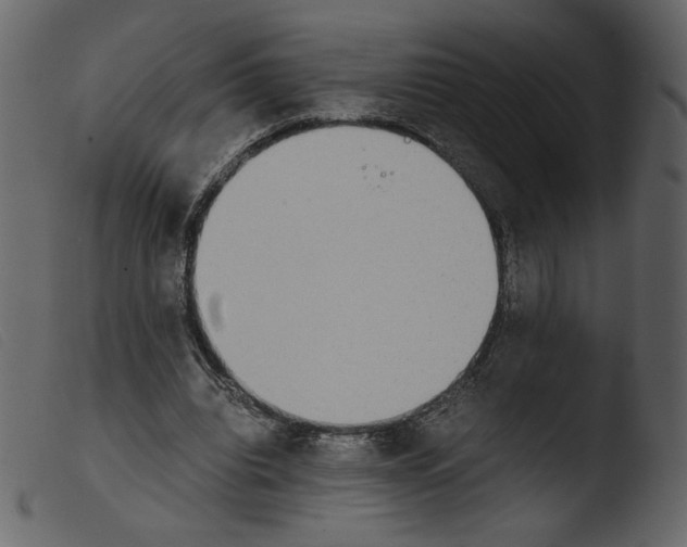 X0000103960440200810101248