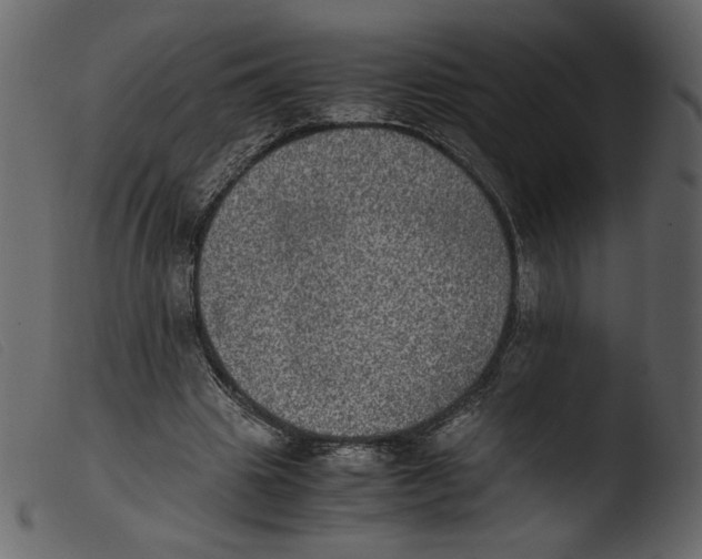 X0000103960441200810101248