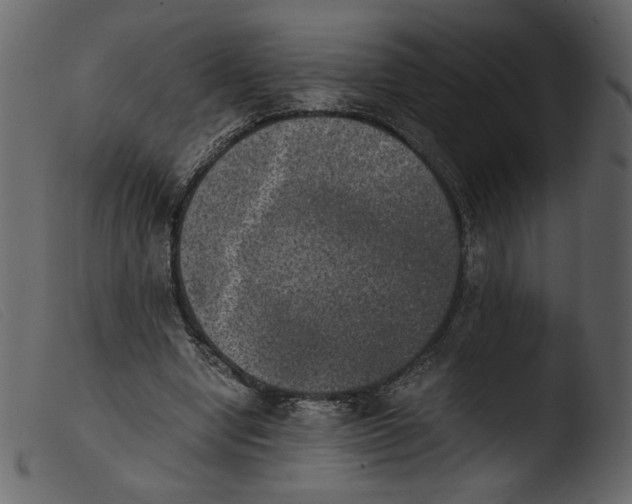 X0000103960442200810101248