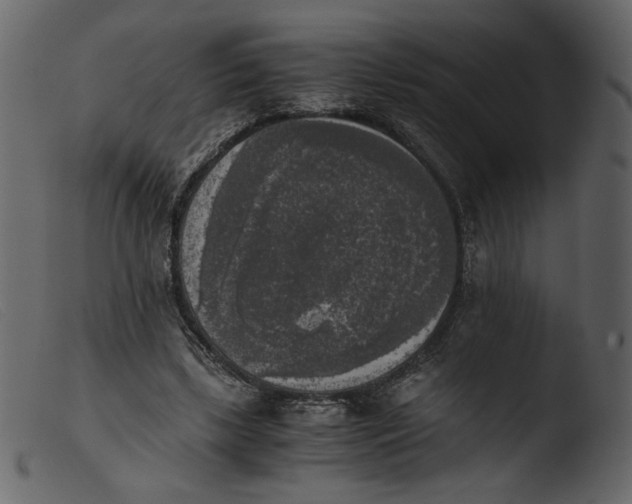 X0000103960443200810101248