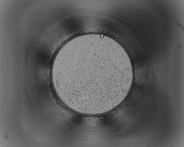 X0000103960444200810101248