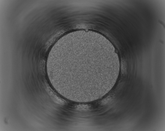 X0000103960445200810101248