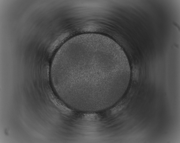 X0000103960446200810101248