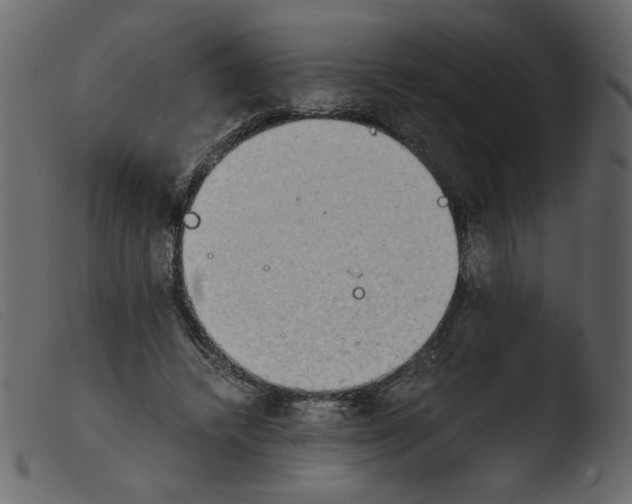 X0000103960448200810101248