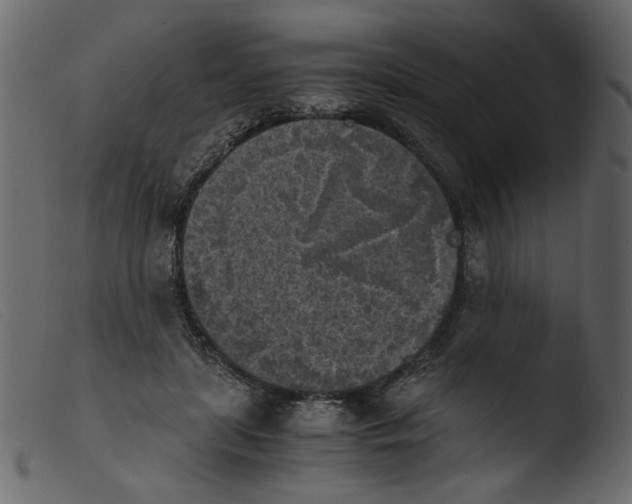 X0000103960451200810101248