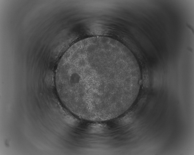 X0000103960453200810101248