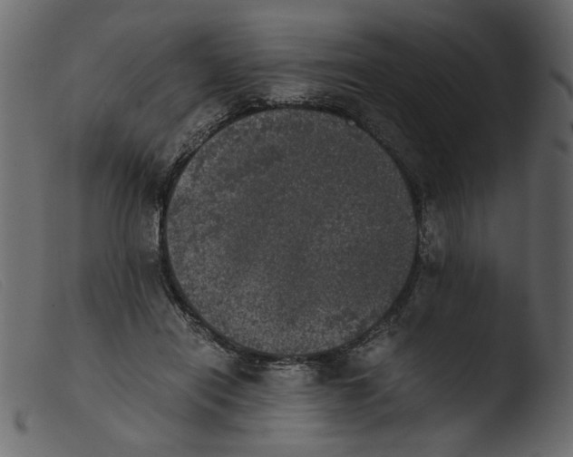 X0000103960454200810101248